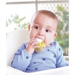 Happy Hatchlings Wobble Rattles - Hape Toys